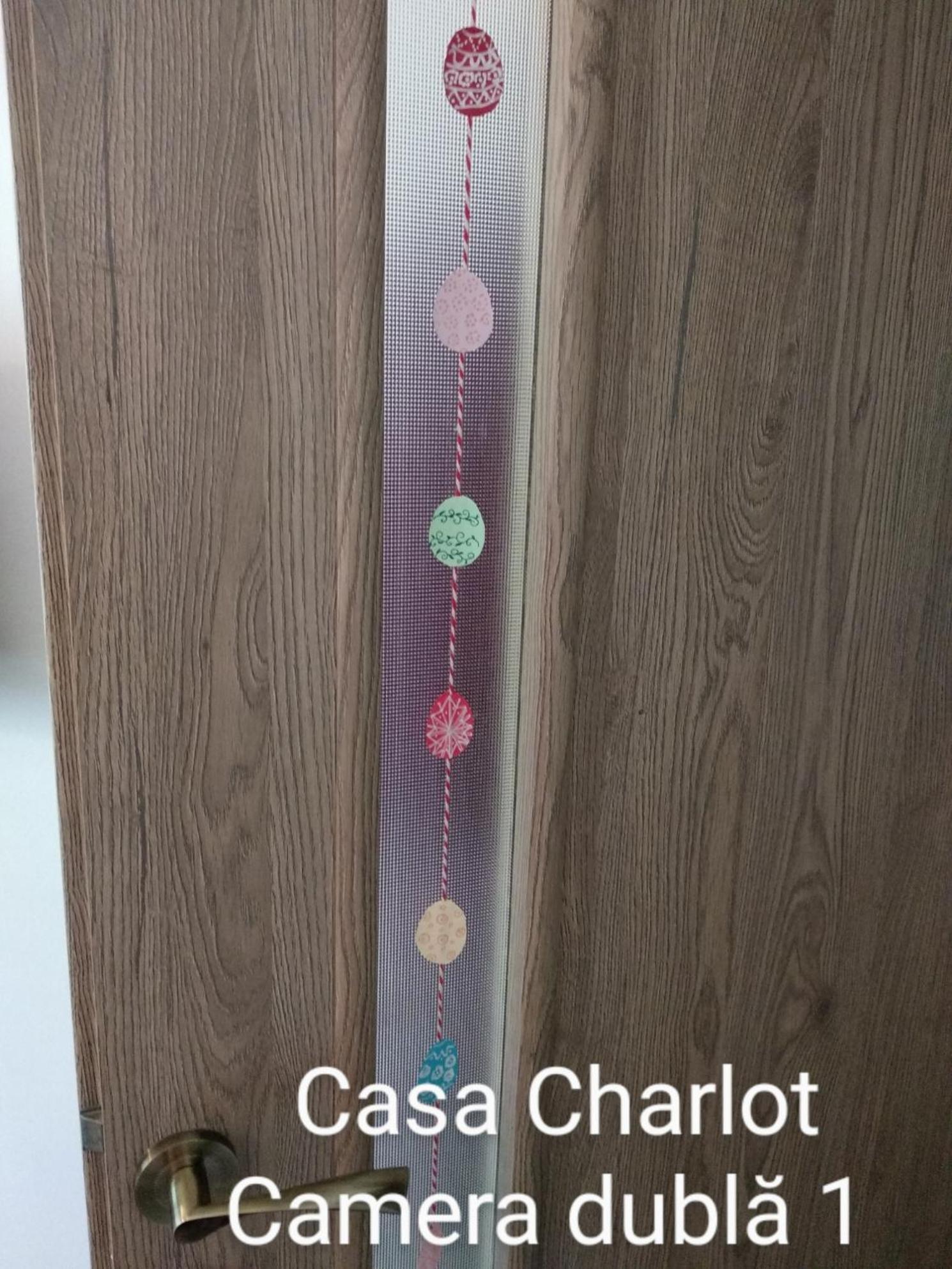 Casa Charlot Apartman Brassó Kültér fotó